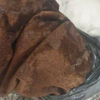 یال پرده|پرده، رانر، رومیزی|ساوه, |دیوار