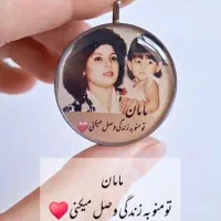 جاسوییچی رزینی