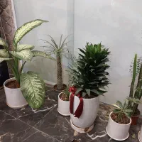 تمیزکاری ساختمان|خدمات نظافت|جهرم, |دیوار