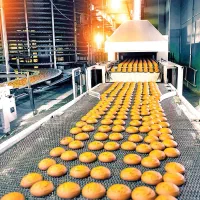 کارخانه-صنایع-غذایی