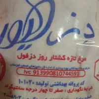 نیروی کار خانم