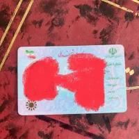 مدارک گمشده