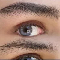 میکروبلید تار به تار مویی تضمینی میکاپ شنیون vIp|خدمات آرایشگری و زیبایی|قم, سید معصوم|دیوار