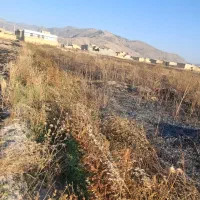 فروش زمین با ابعاد عالی عرض ۱۲