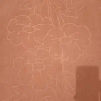 موکت تمیز و شسته شده