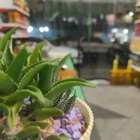 سبزی خورد شده