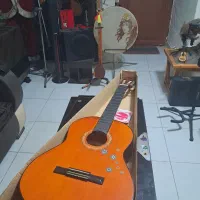 گیتار یاماها c40|گیتار، بیس، امپلیفایر|رشت, کوی بیانی|دیوار