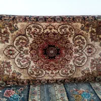 6تا پشتی در حد نوو