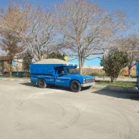 تفاله چغندر|لوازم جانبی حیوانات|محمدبار, |دیوار