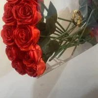 گل‌روبانی و آموزش