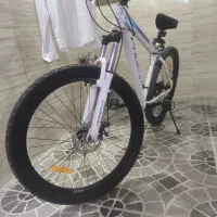 دوچرخه فونیکس