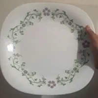 سرویس آرکوپال لومینارک