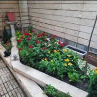 خدمات باغبانی باغچه کاری گل کاری تعویض خاک گلدون|خدمات باغبانی و درختکاری|تهران, صادقیه|دیوار