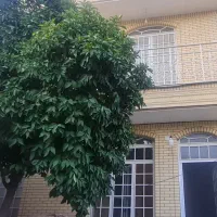 فروش خانه مسکونی|فروش خانه و ویلا|مرودشت, بیست متری بیمارستان|دیوار