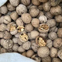 گردو محلی تویسرکان اعلا