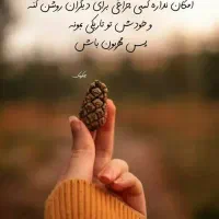 پول پیدا شده