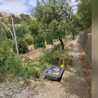 باغ مشجر  ۱.۲۰۰ متری نزدیک شهر|فروش خانه و ویلا|تویسرکان, |دیوار