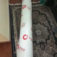 موکت پالاز پونه ای ۲۴ متری