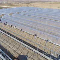 انواع پلاستیک گل خانه|خدمات باغبانی و درختکاری|شهرضا, |دیوار