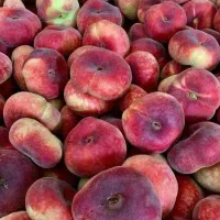 فروش نهال هلو انجیری خونی گلدانی
