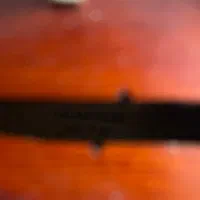 ویولن guarneri-h32-copy ساخت ایتالیا|ویولن|رشت, کاکتوس|دیوار