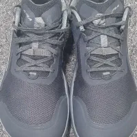 کفش اورجینال آلترا|کیف، کفش، کمربند|همدان, |دیوار