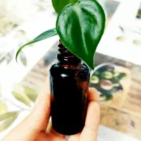 گل طبیعی فانتزی