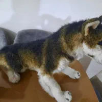 عروسک سگ|اسباب‌‌بازی|کرمانشاه, |دیوار