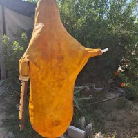 نی انبان.نی همبون