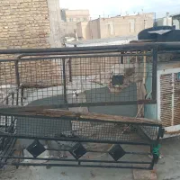 اتاق وانت