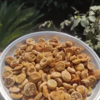 انجیرخشک درجه یک طارم