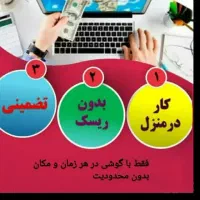 کاردرمنزل بصورت آنلاین وغیرحضوری|استخدام رایانه و فناوری اطلاعات|بم, |دیوار