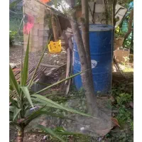 وسایل شخصی منزل|کیف، کفش، کمربند|لاهیجان, کوی زمانی|دیوار