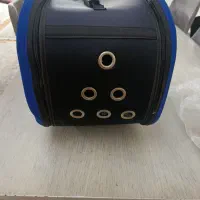 کیف گربه