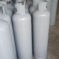 کپسول و پیک نیک