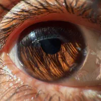 ۱۳ پرو ۲۵۶ گیگ سلامت ۹۸ درصد|موبایل|اصفهان, دانشگاه اصفهان|دیوار