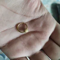 گوشواره