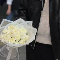 رز هلندی در رنگبندی