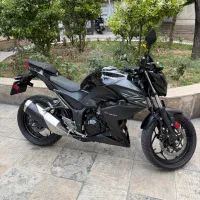 z300
