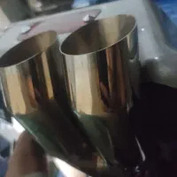 سر اگزوز جغدی اصل