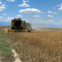 کمباین نیوهلند ۵.۹۰ ب مدل ۲۰۲۲ شروع ب کار ۲۳