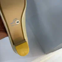 کفش مجلسی نو|کیف، کفش، کمربند|ملایر, |دیوار