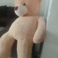 عروسک تدی سالم