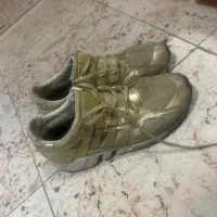 اکومنت ۴۱.۵ zx