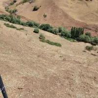 زمین زراعی