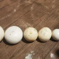 سنگ الماس اسیاب