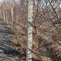 پایه(ستون)بتنی