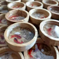 حوض جاودان ماهی چوبی