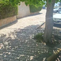 زمین-مسکونی-سرتل-سند-تک-برگ