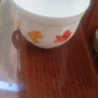 سرویس آرکوپال لومینارک فرانسوی نو